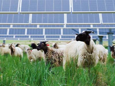 photovoltaic photovoltaic