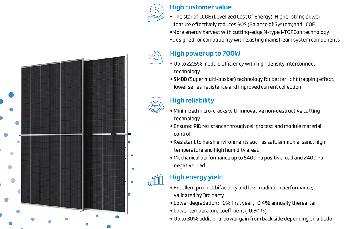 Vertex N-NEG21C.20-675W-700W description Vertex N-NEG21C.20-675W-700W description